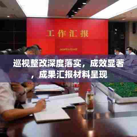 巡视整改深度落实，成效显著，成果汇报材料呈现
