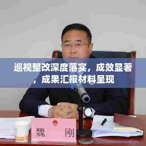 巡视整改深度落实,成效显著,成果汇报材料呈现