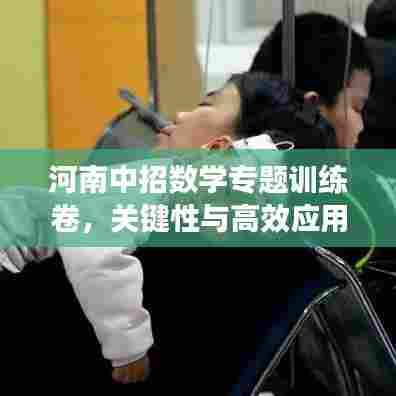 河南中招数学专题训练卷,关键性与高效应用策略