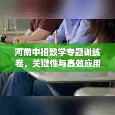 河南中招数学专题训练卷,关键性与高效应用策略