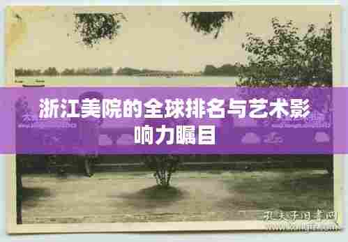 浙江美院的全球排名与艺术影响力瞩目