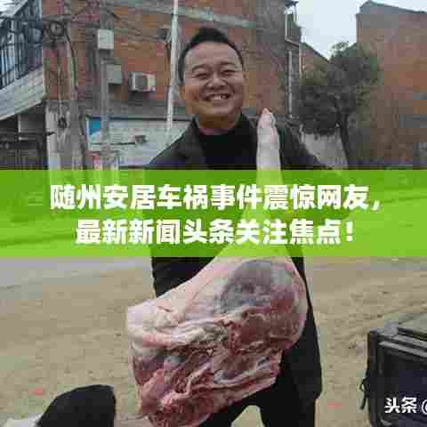 随州安居车祸事件震惊网友,最新新闻头条关注焦点!