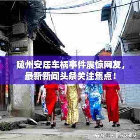 随州安居车祸事件震惊网友,最新新闻头条关注焦点!