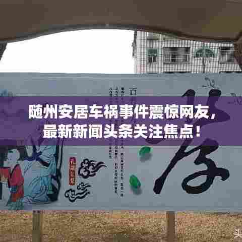 随州安居车祸事件震惊网友,最新新闻头条关注焦点!