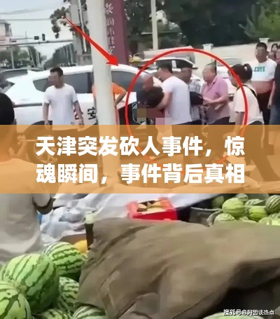 天津突发砍人事件，惊魂瞬间，事件背后真相揭秘