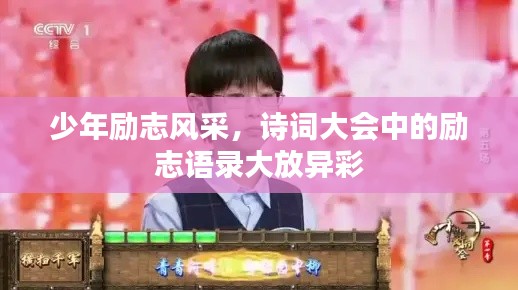 少年励志风采，诗词大会中的励志语录大放异彩