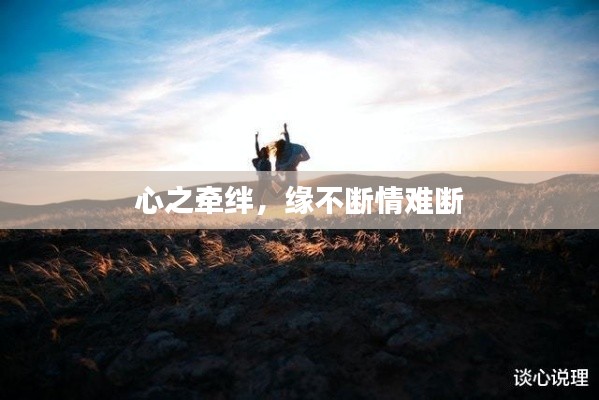 心之牵绊，缘不断情难断