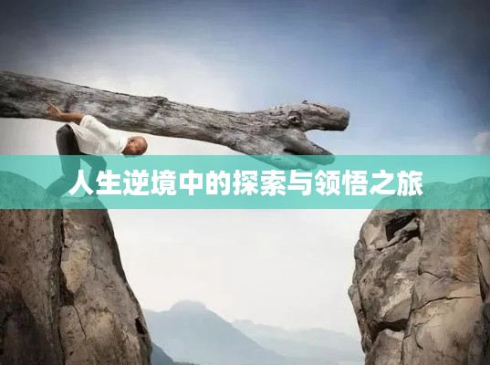人生逆境中的探索与领悟之旅