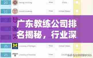广东教练公司排名揭秘，行业深度解析与权威榜单