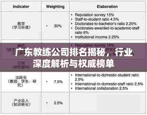 广东教练公司排名揭秘,行业深度解析与权威榜单