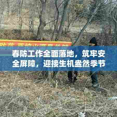春防工作全面落地，筑牢安全屏障，迎接生机盎然季节