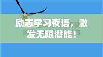励志学习夜语,激发无限潜能!