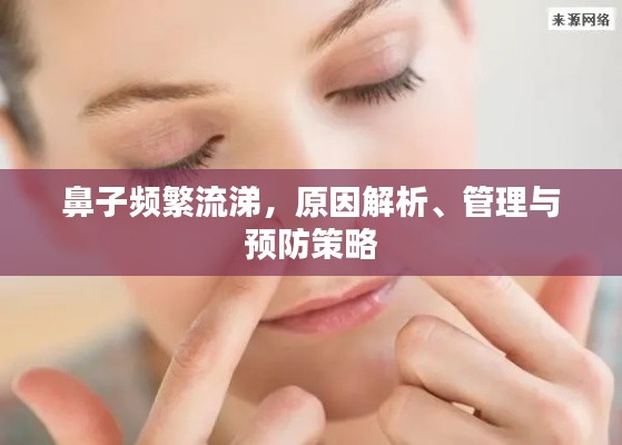 鼻子频繁流涕，原因解析、管理与预防策略