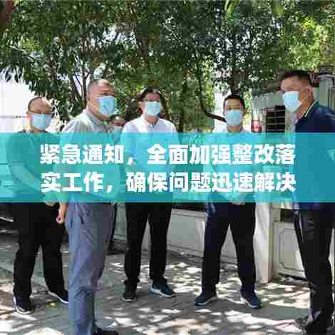紧急通知,全面加强整改落实工作,确保问题迅速解决!