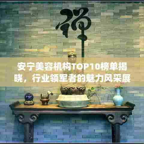 安宁美容机构TOP10榜单揭晓，行业领军者的魅力风采展示