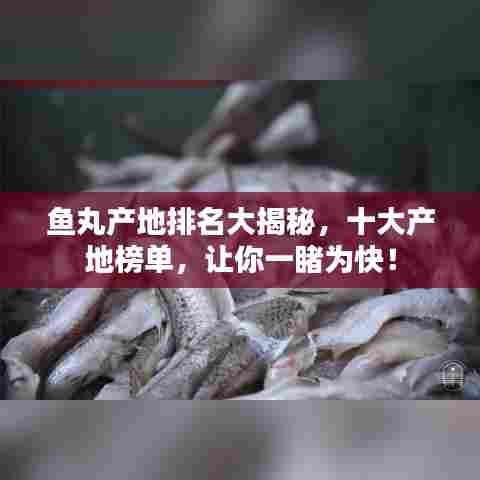 鱼丸产地排名大揭秘，十大产地榜单，让你一睹为快！