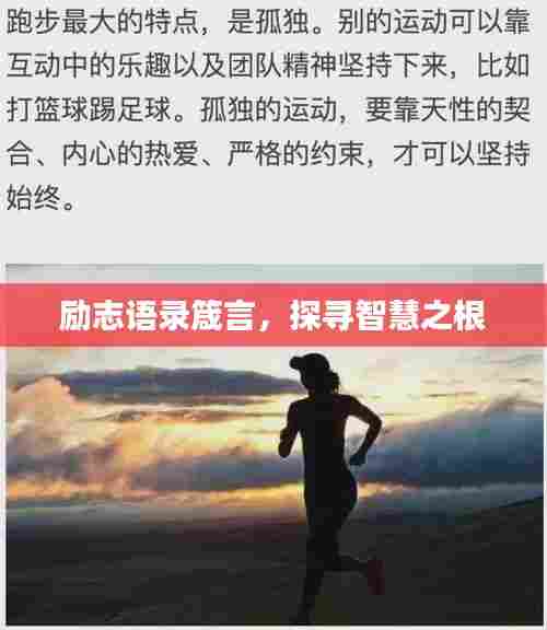 励志语录箴言，探寻智慧之根