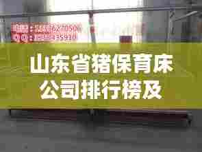 山东省猪保育床公司排行榜及行业影响力解析