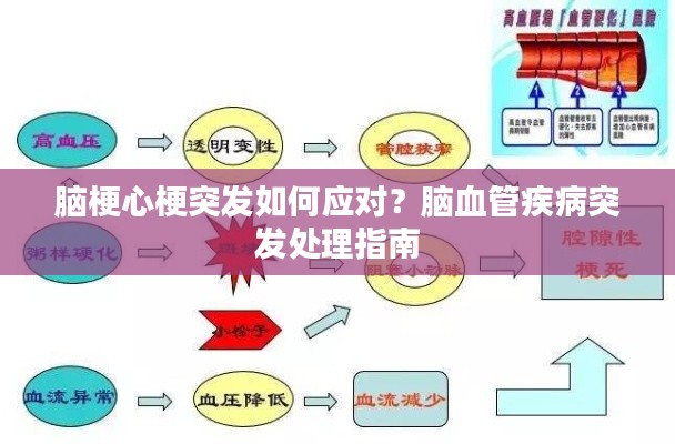 脑梗心梗突发如何应对？脑血管疾病突发处理指南