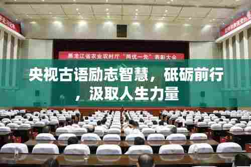 央视古语励志智慧，砥砺前行，汲取人生力量