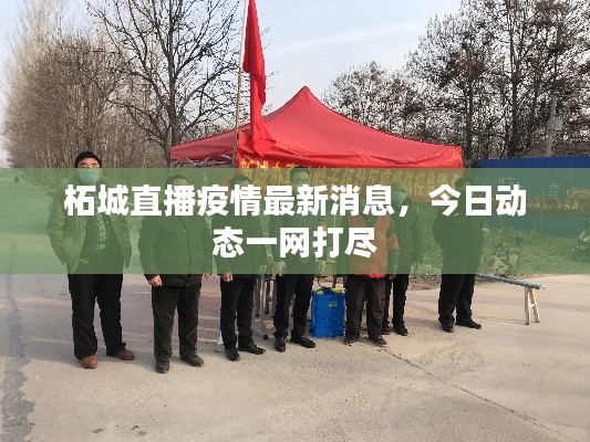 飞蛾扑火 第5页