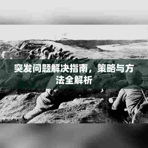 突发问题解决指南，策略与方法全解析