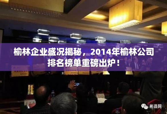 榆林企业盛况揭秘，2014年榆林公司排名榜单重磅出炉！