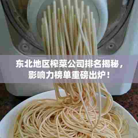 东北地区榨菜公司排名揭秘,影响力榜单重磅出炉!