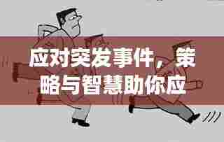 应对突发事件,策略与智慧助你应对危机!