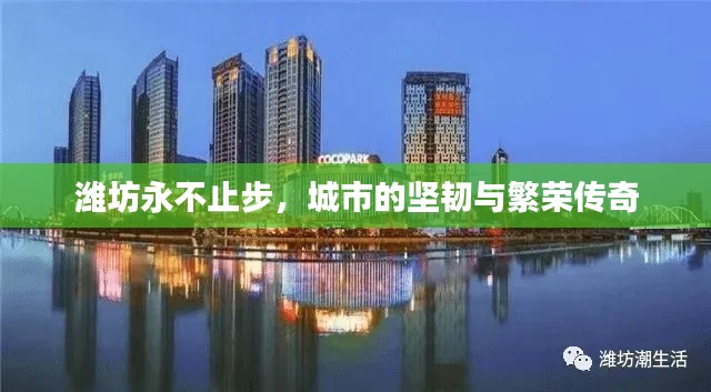 潍坊永不止步,城市的坚韧与繁荣传奇