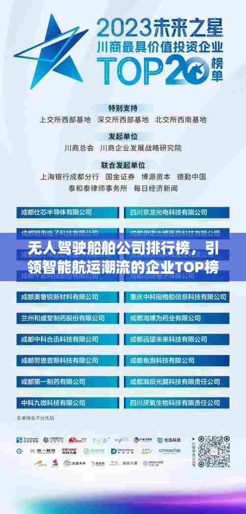 无人驾驶船舶公司排行榜，引领智能航运潮流的企业TOP榜单！