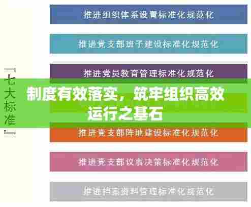制度有效落实，筑牢组织高效运行之基石