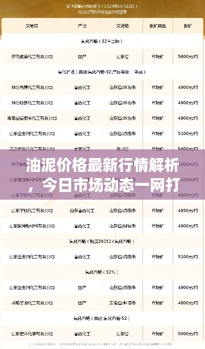油泥价格最新行情解析，今日市场动态一网打尽！