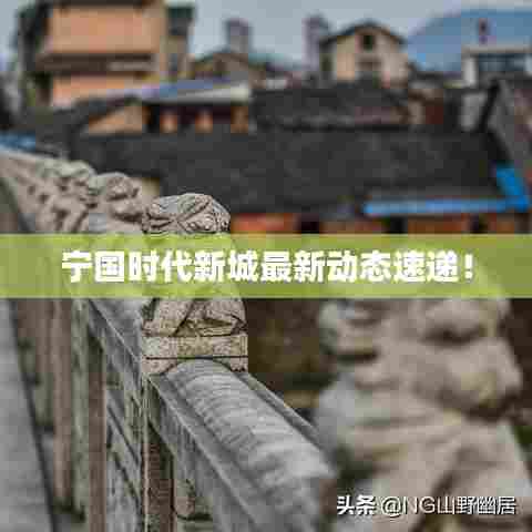 宁国时代新城最新动态速递！