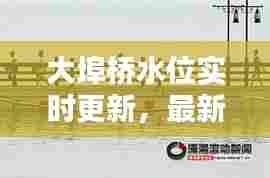 大埠桥水位实时更新，最新消息掌握！
