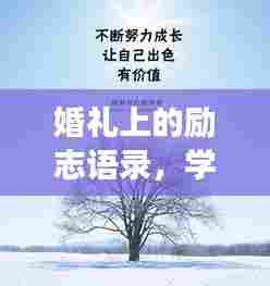 婚礼上的励志语录，学习、成长与爱的智慧箴言