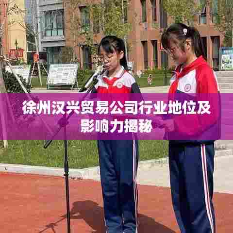 徐州汉兴贸易公司行业地位及影响力揭秘