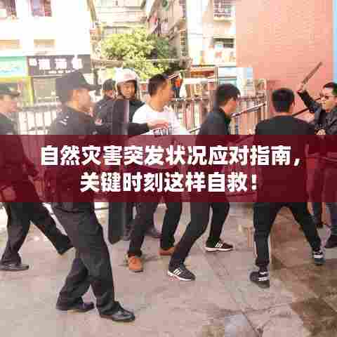 自然灾害突发状况应对指南,关键时刻这样自救!