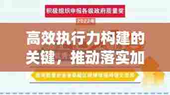 高效执行力构建的关键，推动落实加速，打造卓越执行力