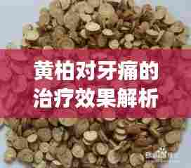 黄柏对牙痛的治疗效果解析,百度健康为您解答