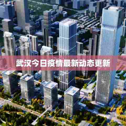 武汉今日疫情最新动态更新