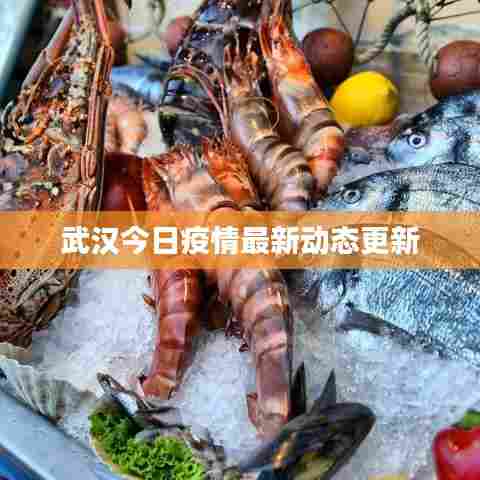 武汉今日疫情最新动态更新