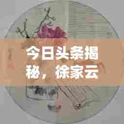 今日头条揭秘,徐家云最新动态报道