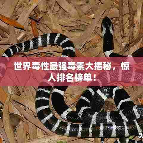 世界毒性最强毒素大揭秘，惊人排名榜单！