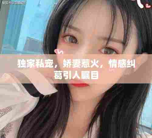 独家私宠，娇妻惹火，情感纠葛引人瞩目
