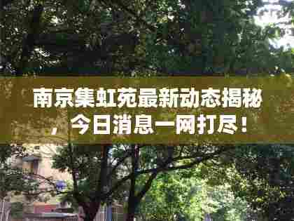 南京集虹苑最新动态揭秘，今日消息一网打尽！