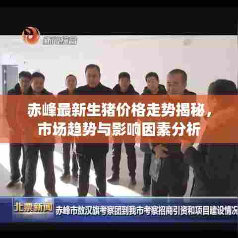 赤峰最新生猪价格走势揭秘,市场趋势与影响因素分析