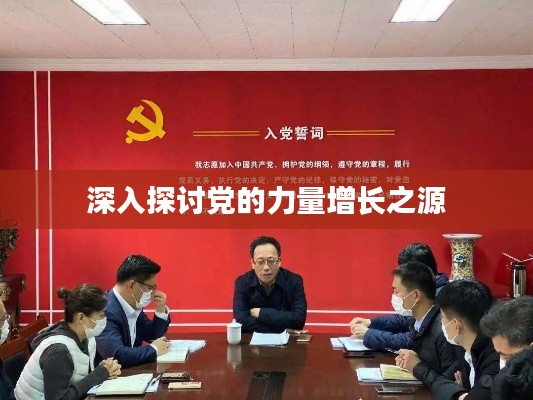 深入探讨党的力量增长之源