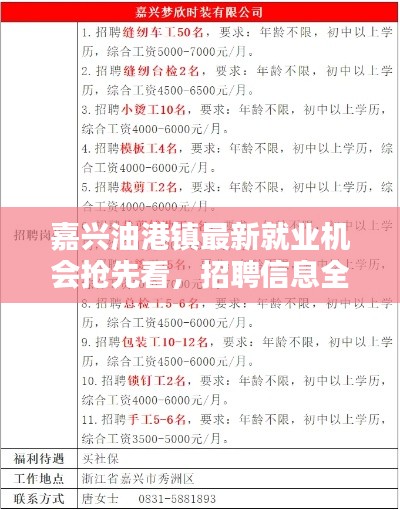 嘉兴油港镇最新就业机会抢先看，招聘信息全解析