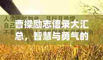 曹操励志语录大汇总，智慧与勇气的箴言